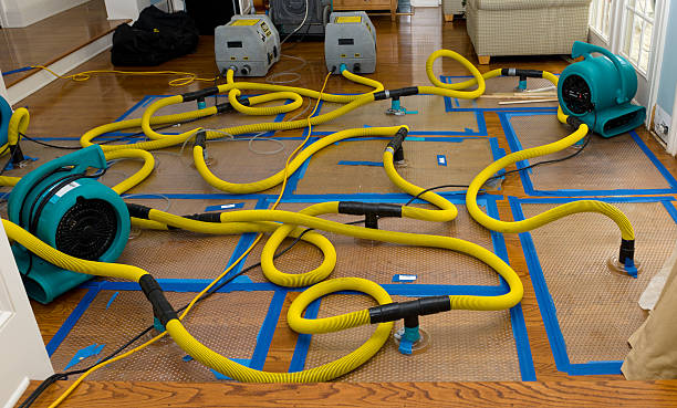 Professional Water Extraction technician working in Payson, IL